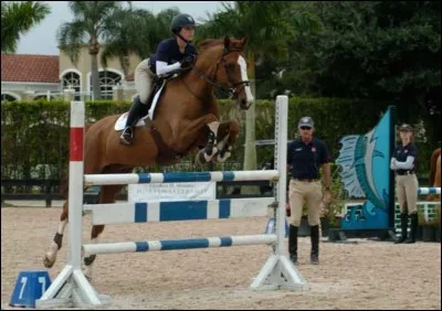 Lors de J.O. et mis à part les épreuves d'équitation, dans quel autre sport intervient le cheval ?