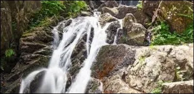 Marque déposée, c'est le...