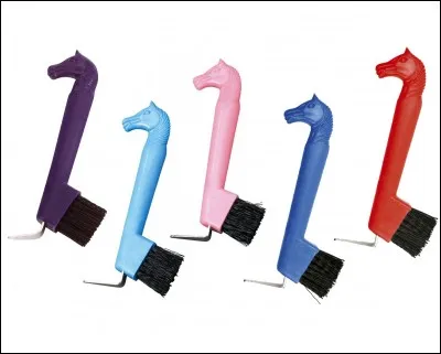 Quel est le nom de cette brosse ?