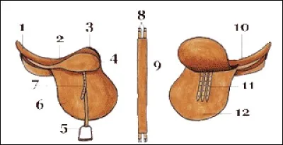 Comment se nomme la partie n°12 ?