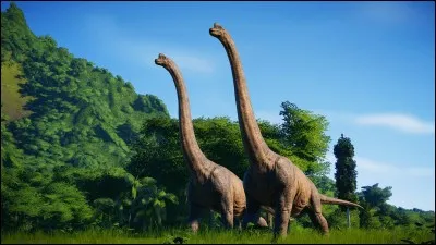 Le cou du Brachiosaure mesure combien de mètres ?