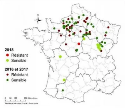 Il existe une souche de Sclerotinia résistante à une famille de fongicides. Laquelle ?