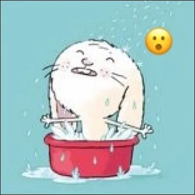 Que pouvons-nous faire pour rafraîchir notre lapin ?