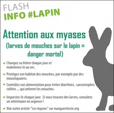 En temps de grosses chaleurs, il est important de...