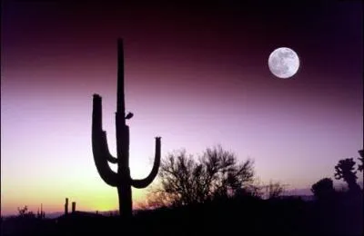 Quel type de paysage est le plus rpandu en Arizona ?