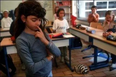 Quelle minorit ethnique est la plus reprsente en Arizona ?