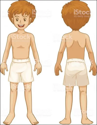 Si vous êtes allongé en décubitus dorsal, quelle partie du corps est en contact avec le lit ?