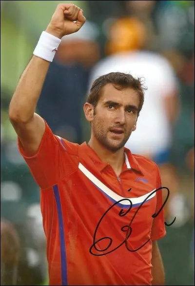 Qui est ce tennisman ?