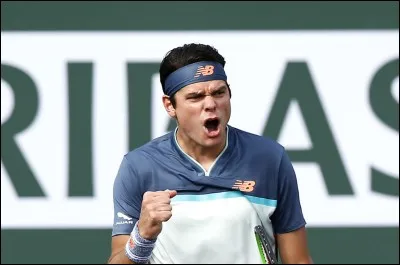 Qui est ce tennisman ?
