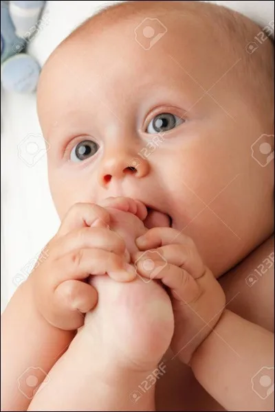 Que présente cette photo ?