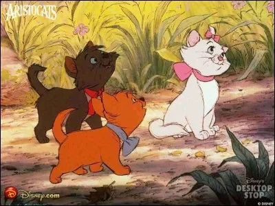 Combien y a-t-il de chats dans "Les Aristochats" (en tout) ?