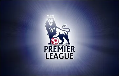 Qui est le meilleur buteur de l'histoire de la Premier League depuis sa création en 1992 ?