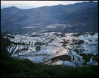 Qu'est-ce que le milieu en justice ?