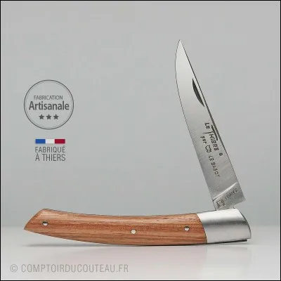 Parmi les personnalit&eacute;s n&eacute;es dans ce d&eacute;partement, nous trouvons Adolphe Thiers.Quelle &eacute;tait sa profession ?