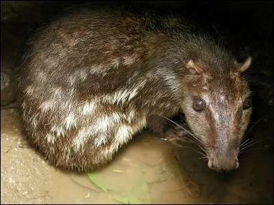 &Agrave; quelle r&eacute;gion administrative est rattach&eacute; ce d&eacute;partement ?