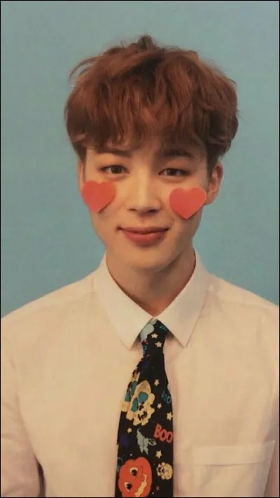 Quel est le genre de fille de Jimin ?