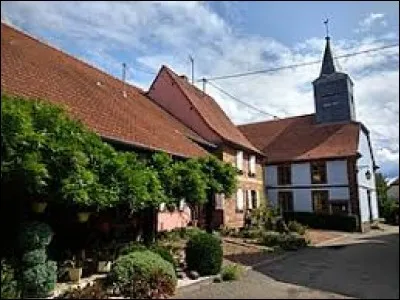 Commune du Grand-Est, dans le parc naturel régional des Vosges du Nord, Hinsbourg se situe dans le département ...