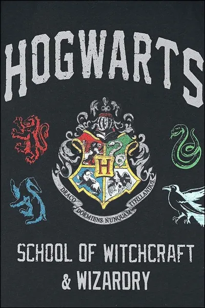 Dans quelle maison es-tu ?