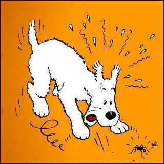 Ce brave Milou devient ( plus logiquement ) ...