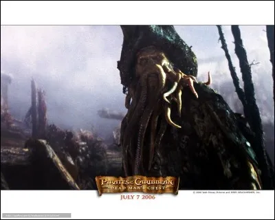 "Pirates des Caraïbes" est le titre d'un film joué par Johnny Depp.