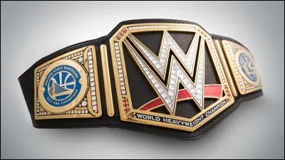 Quelle est cette ceinture ?