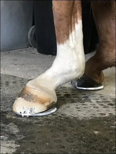 Quel est cet aplomb ?