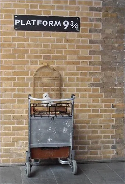 Qui aide Harry à trouver le voie 9 3\4 ?
