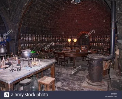 Ta matière préférée à Poudlard :