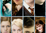 Test Dans ''Harry Potter'',  qui ressemblerais-tu le plus ?