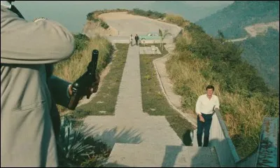 "L'Homme de Rio" est un film interprété par Françoise Dorléac.