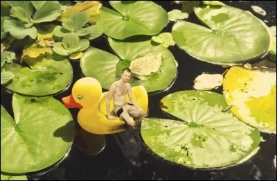 Quel est son nom latin ?