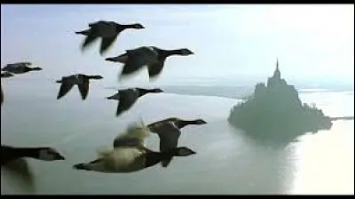 Qu'entend-on par "brain drain" ?