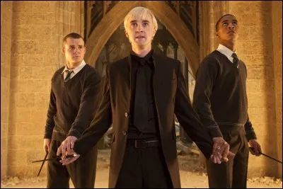 Dans quelle maison est Draco ?