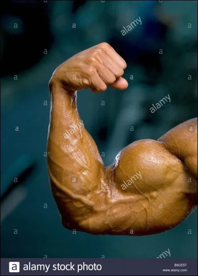 Vous &ecirc;tes le plus &agrave; l'aise pour :