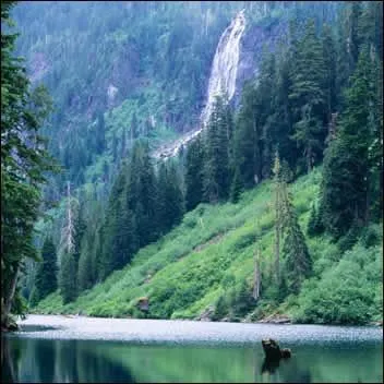 Quel est le nom de la plus grande fort de l'Etat ?