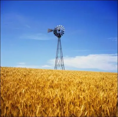 Quel Etat a une frontire avec l'Arkansas ?