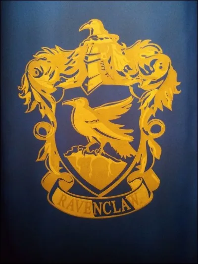 Qui est le directeur de Serdaigle ?