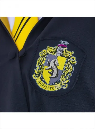 Qui est le directeur de Poufsouffle ?