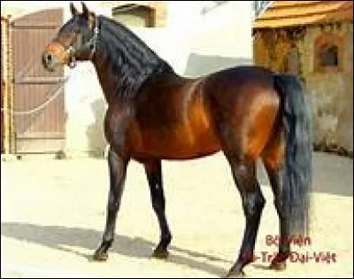 Quelle est cette robe ?