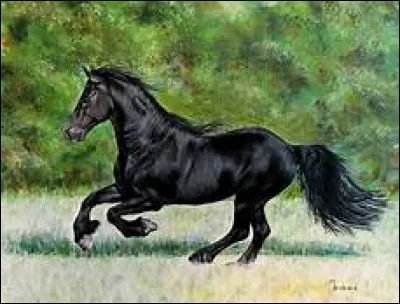 Quelle est cette robe ?