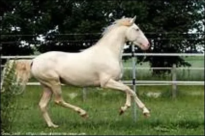 Quelle est cette robe ?