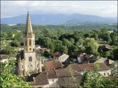 Lestelle-et-Saint-Martory est un village d'Occitanie situé dans le département ...