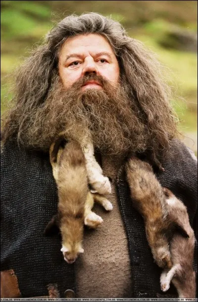 De quelle couleur est Buck, l'hippogriffe d'Hagrid ? Il est ...