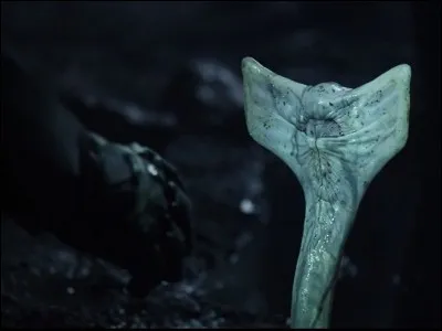 D'où vient cette image ?