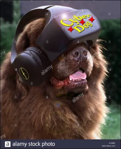 Que signifie l'expression "Bon chien chasse de race" ?