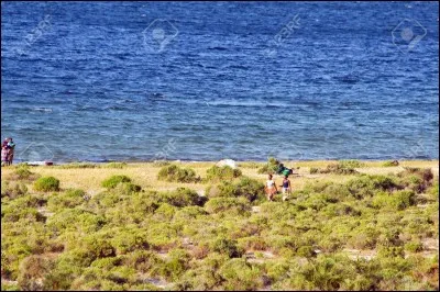 Lequel de ces pays d'Afrique n'est pas bordé par l'océan Atlantique ?
