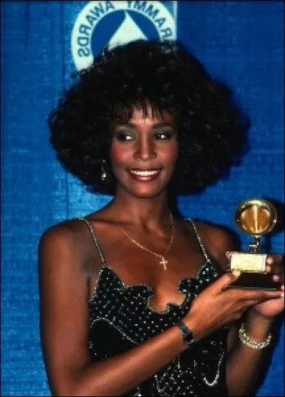 Au cours de sa carrière, quelle récompense Whitney n'a-t-elle pas obtenue ?