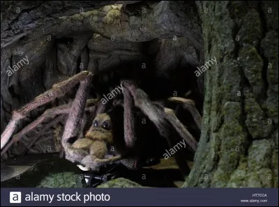 Qui est ce personnage ?