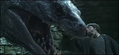 Quelle est cette créature ?