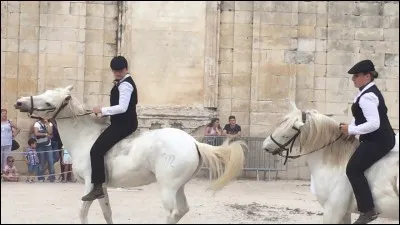 Quand on monte sans selle, on monte...